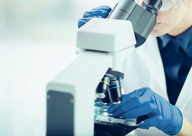 azindex12_phone
